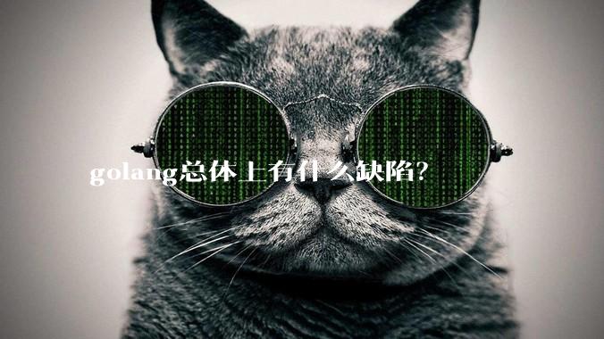 golang总体上有什么缺陷？