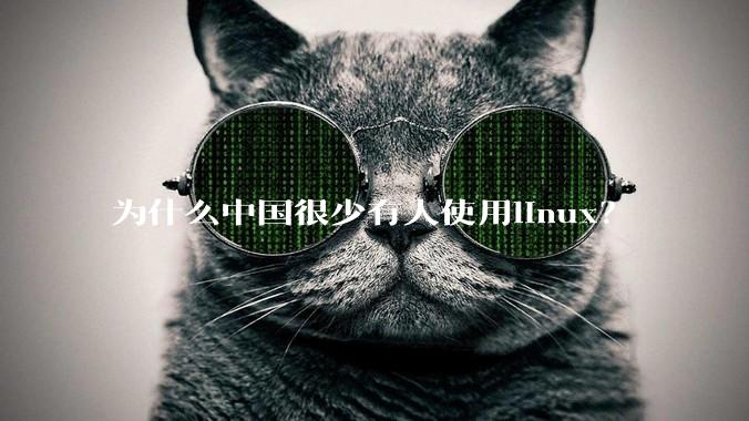 为什么中国很少有人使用linux？