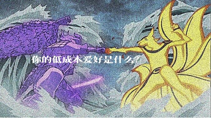 你的低成本爱好是什么？